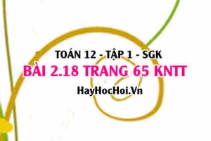 Bài 2.18 trang 65 Toán 12 tập 1 Kết nối tri thức